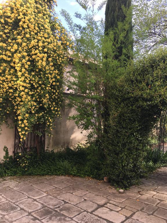 Alla Locanda Del Cinquecento Castrocaro Terme Εξωτερικό φωτογραφία